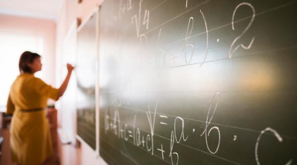 profesori suplinitori ministerul educatiei petitie titularizare