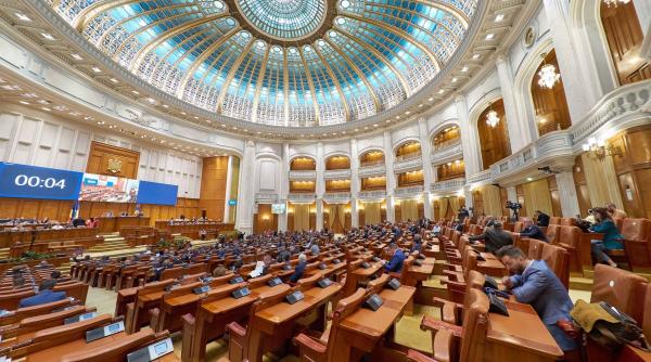 usr abuzuri sexuale camera deputatilor