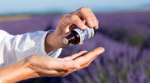 planta magica lavanda putere vindecatoare spirite rele