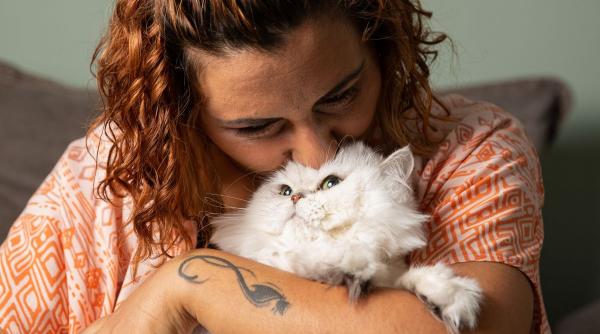 informatii importante proprietari animale companie bloc