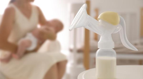 alergie copil animale companie