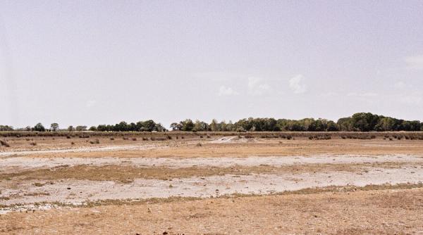 guvern impadurire terenuri degradate