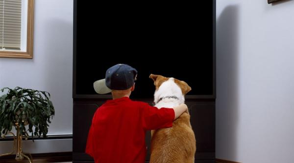 6 efecte nocive mancat televizor sanatate