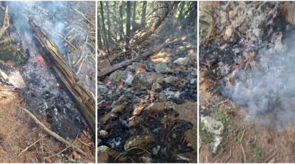 incendiul vegetatie bucegi lichidat zona monitorizata