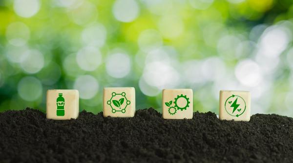 plasticul biodegradabil impact asupra mediului si cum poate fi folosit eficient