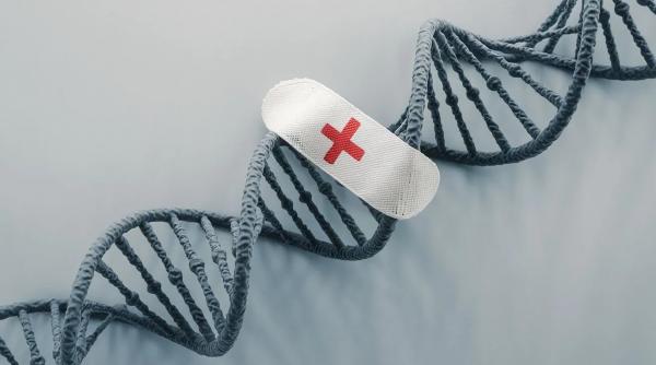 proteina adn vaccin cancer schimbari climatice