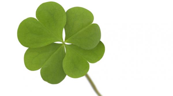 zodii noroscoase 2 septembrie 2024 reusite bucurie dragoste