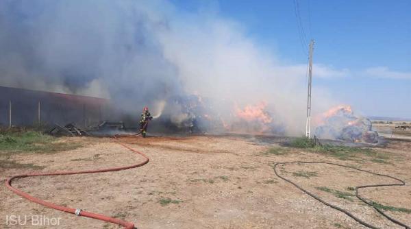 incendiu ferma magarite stins pompieri sapte ore