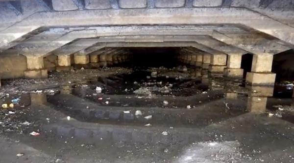 piata unirii daniel baluta nicusor dan