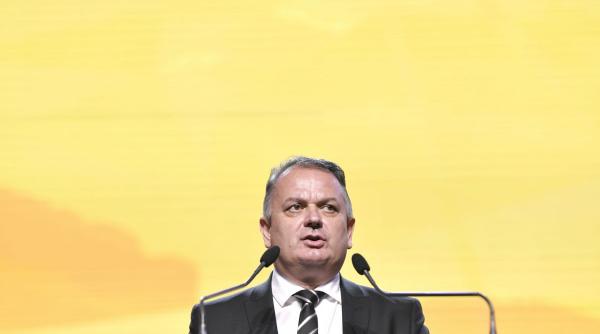 virgil guran vicepresedinte pnl guvern pnl usr