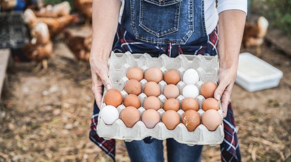 5 motive pentru care ar trebui sa alegi oua de la producatori locali