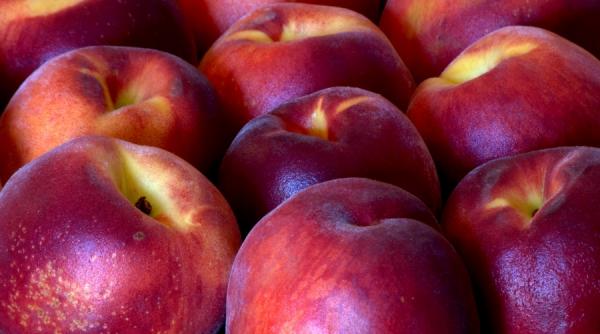 nectarine turcia pesticide