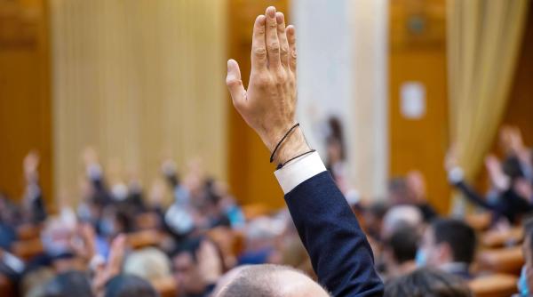 studenti elevi vot solicitari parlament