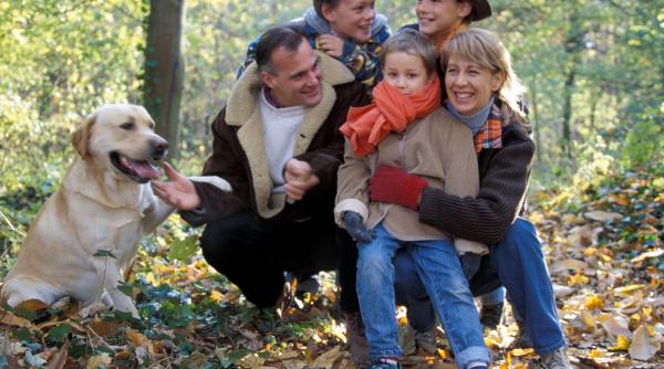 10 rase aini ideale copii