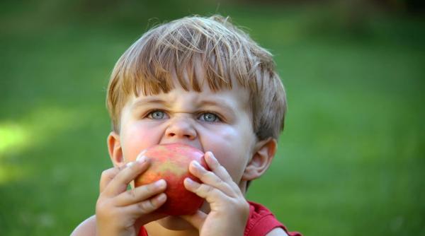 horoscop zilnic 19 octombrie 2024 tranzit venus relatii cuplu