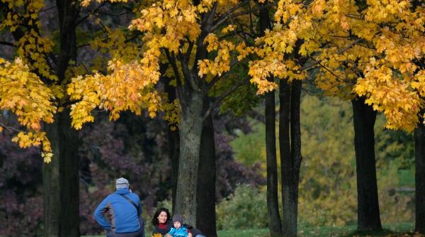 transformare radicala pentru 3 zodii 18 octombrie 2024 lupta castiga