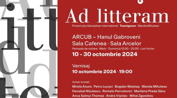 ad litteram proiect pluridisciplinar multilingvistic international transignum wanda mihuleac