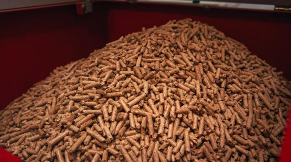 ghid cum sa identifici cei mai buni peleti de vanzare din piata