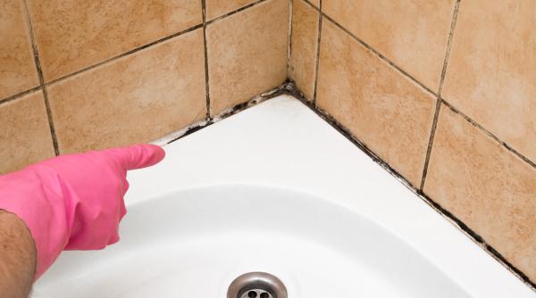 3 ingrediente naurale scapi mucegai silicon baie