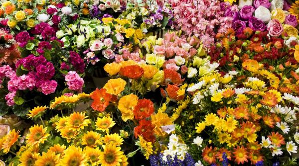 romani onomastica sfantul dumitru