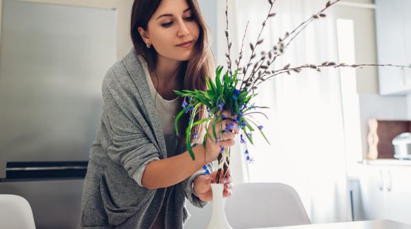 odorizante naturale casa simplu ieftin eco indemana oricui
