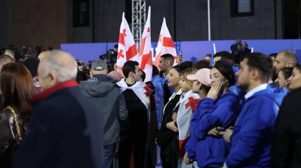 sef consiliu ue investigare rapida alegeri georgia