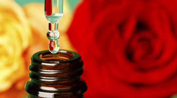 calatorie lumea aromaterapiei descopera beneficiile fiecarei esente