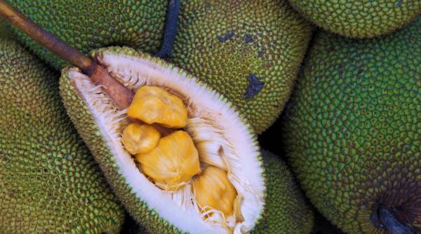 fruct cel mai mare continut alcool interzis spatii publice asia miros ingrozitor