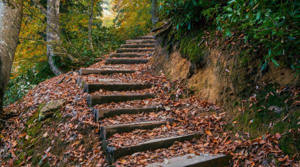 noiembrie calendarul popular romanesc traditii sarbatori religioase superstitii