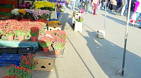 acasa romania oameni comportament