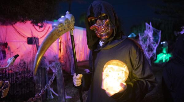 costume cainii halloween