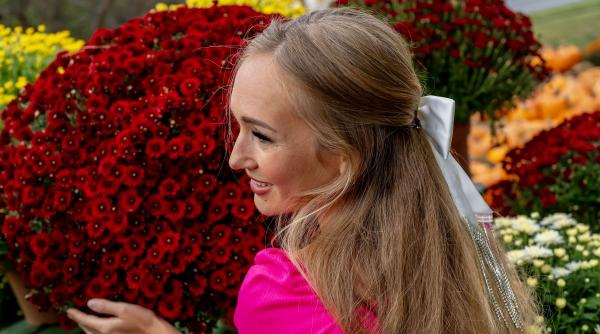 zodie evolueaza noiembrie 2024