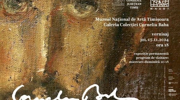 o privire de aproape o noua perspectiva asupra expozitiei permanente corneliu baba la mnart