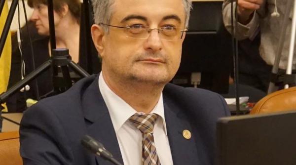 andronache proiecte lege social democrati plagiat