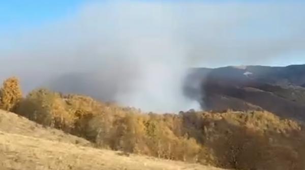 incendiu padure caineni continua 3 zile zeci pompieri voluntari lupta flacari