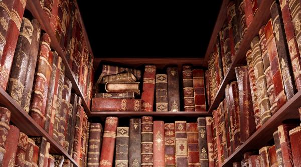 teatrul stela popescu in parteneriat cu mina prezinta revolta povestilor primul spectacol de teatru imersiv pentru copii din romania