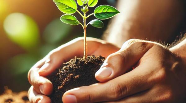 green woman femeile vizionare care sustin un viitor sustenabil pentru romania