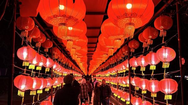 horoscop chinezesc 2025 influenta sarpelui de lemn asupra tuturor zodiilor