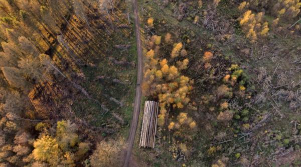 razboi codul silvic romania ue
