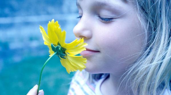 horoscop zilnic 16 noiembrie 2024 soare opozitie uranus schimbari neasteptate