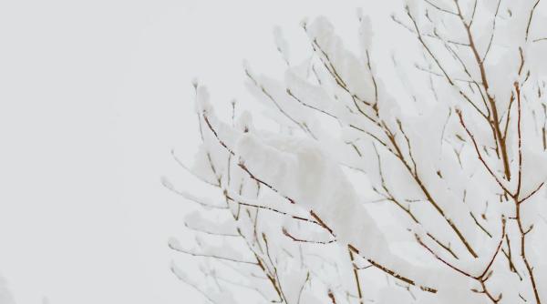 vortex polar prognoza meteo romania ploi ninsori abundente viscol