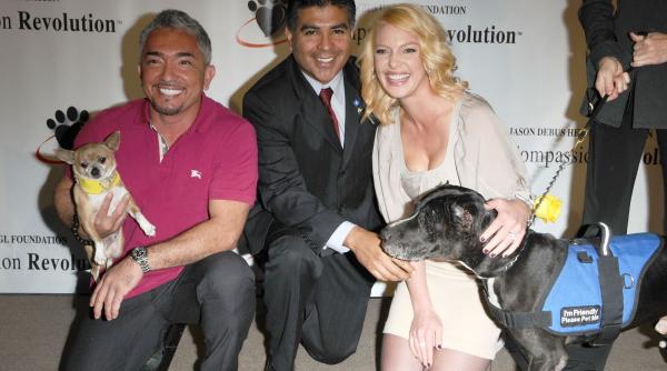 metoda celebrului cesar millan caine fericit cele mai mari greseli trebuie eviti