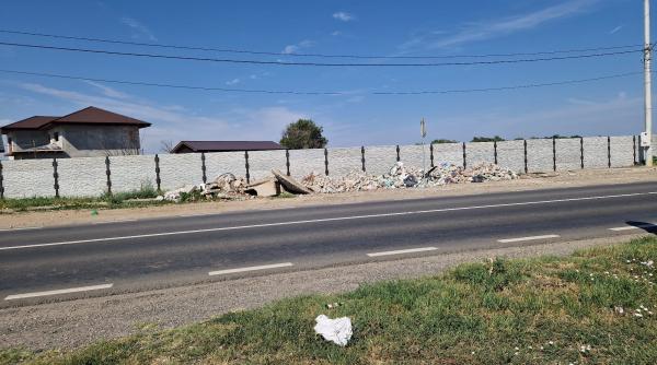 abandon animale sosea 7 ani inchisoare cod rutier italian reguli dure