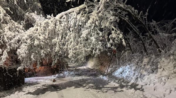 iarna noiembrie ravagii romania masini avariate acoperisuri smulse