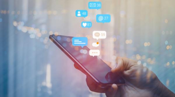 campanii electorale botii