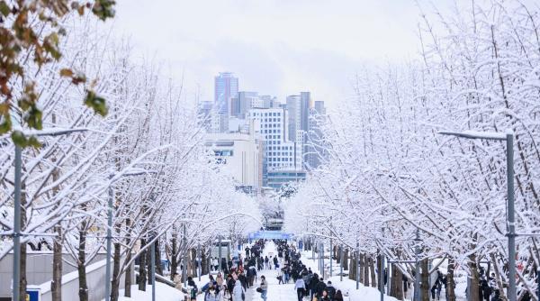 ninsori abundente coreea sud oameni murit zboruri anulate