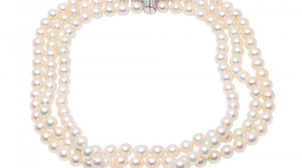 de la masa familiei prezidentiale ceausescu in licitatie la artmark