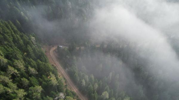 ceata densa 11 judete marti dimineata