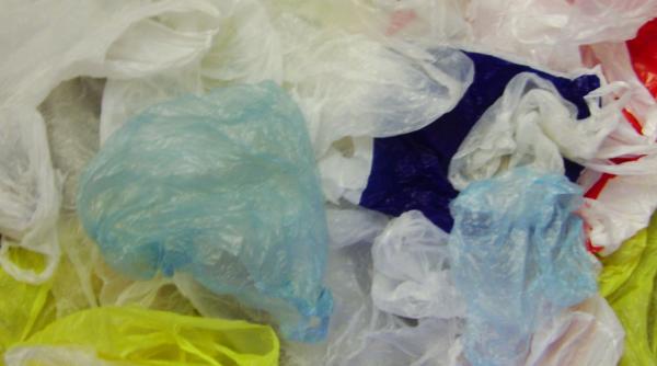 era plasticului afecteaza anatatea organe tesuturi