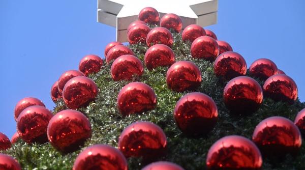 top 5 combinatii culori moda brad craciun 2024